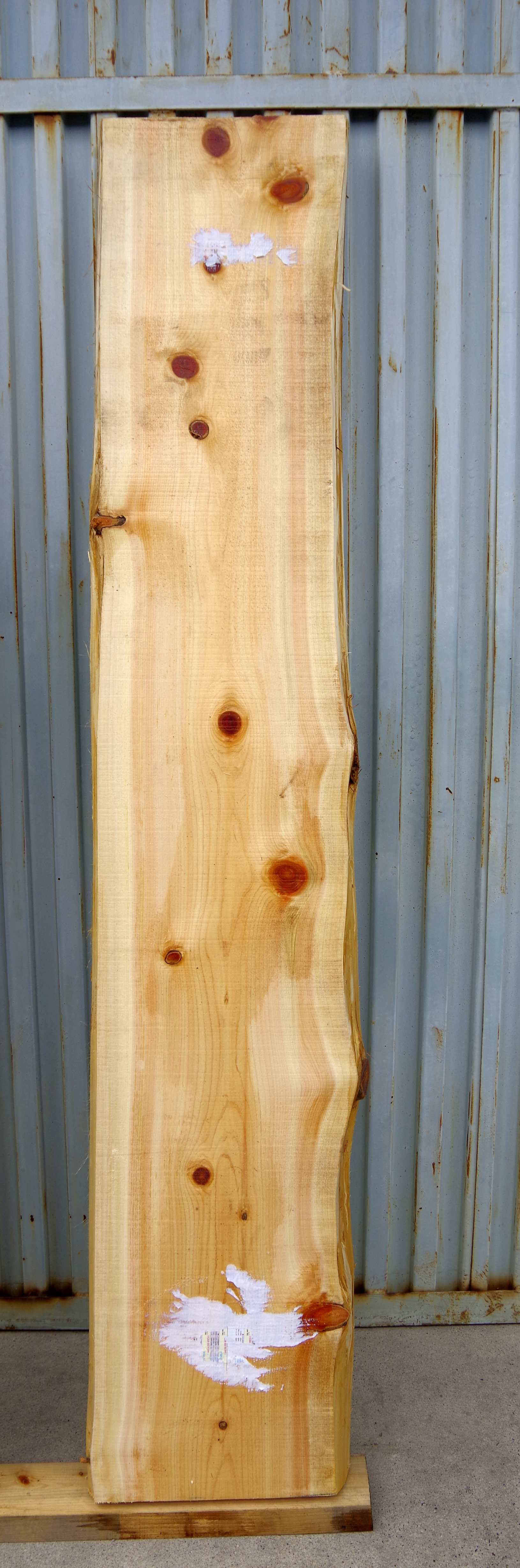 �g��q�m�L�@1����