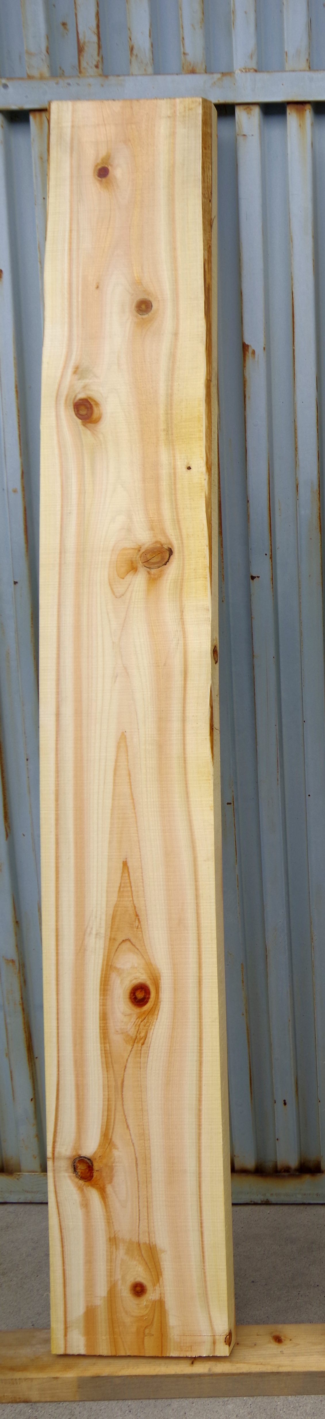 �g��q�m�L�@1����